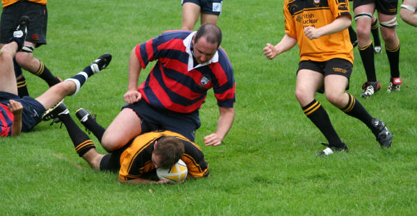 Scrum half Keth Hogg scores despite the close attentions on Accies No 8